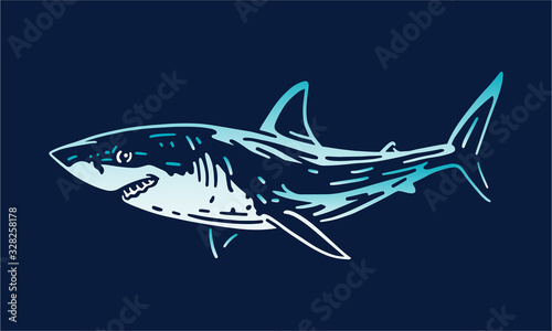 shark on dark background