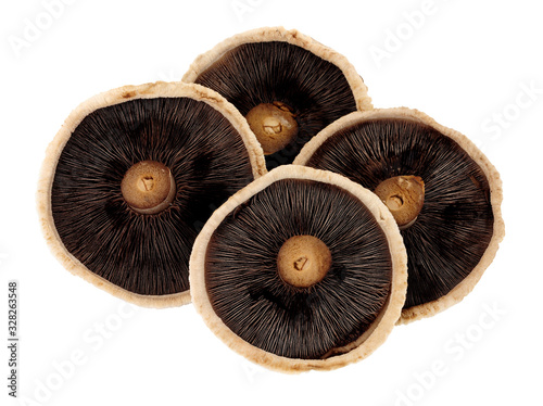 Group of fresh raw Forestiere mushrooms isolated on a white background