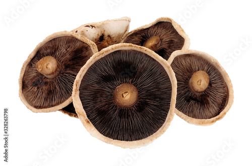 Group of fresh raw Forestiere mushrooms isolated on a white background