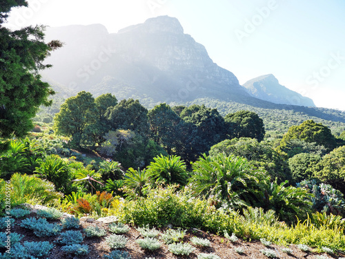 Nationaler Botanischer Garten Kirstenbosch - im Stadtteil Newlands von Kapstadt 