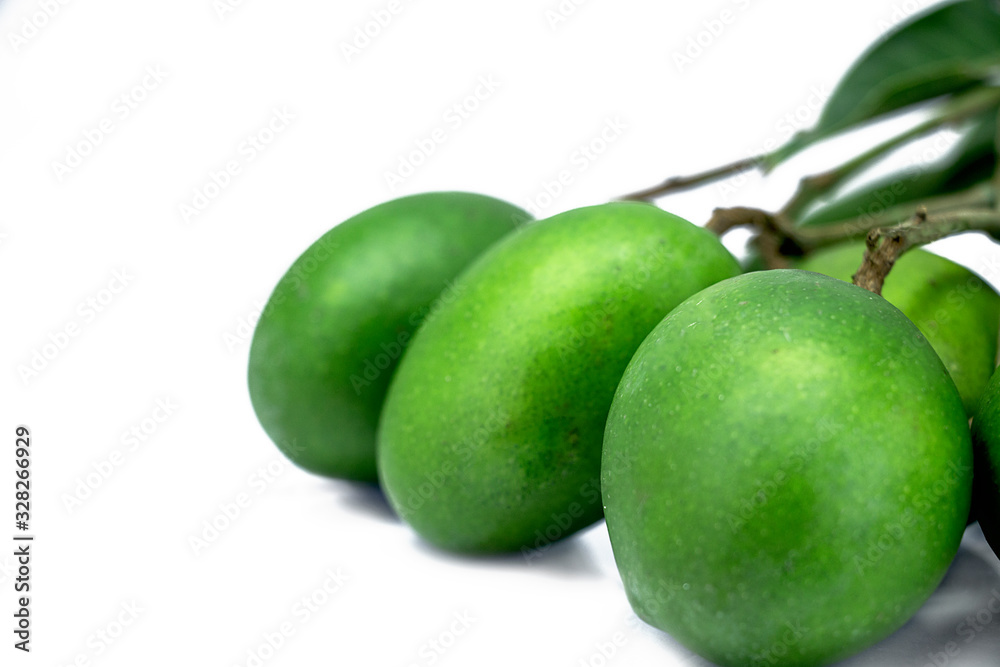 Obraz premium closeup of raw green mangoes