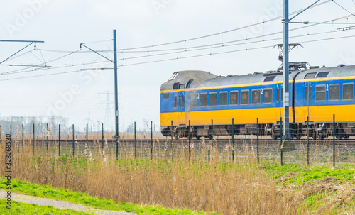 Train riding along a field in wetland below a blue sky in winter in natural park Oostvaardersplassen 