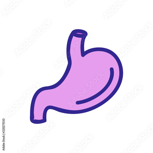 stomach icon vector. Thin line sign. Isolated contour symbol illustration