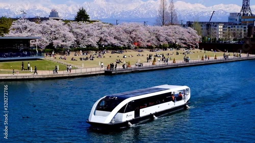 富岩運河環水公園　運河と満開の桜並木