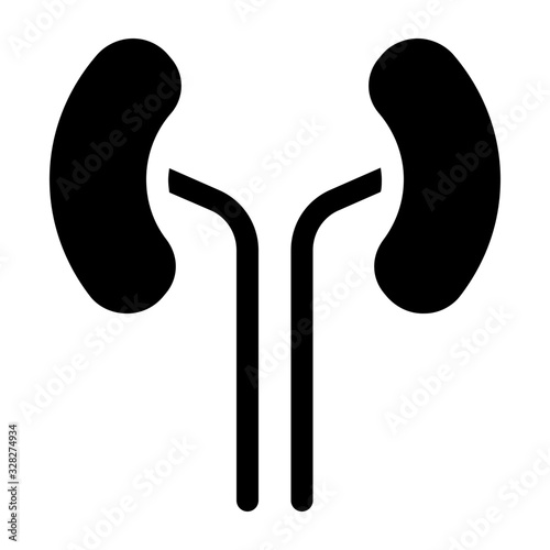 Kidneys