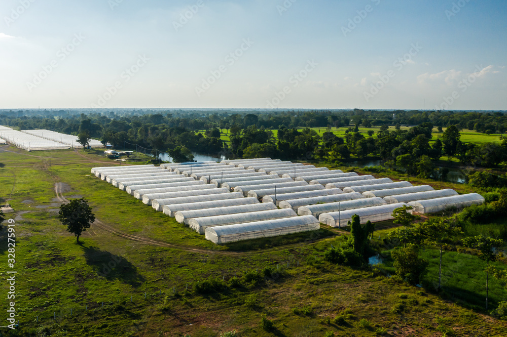 Row of white green houses