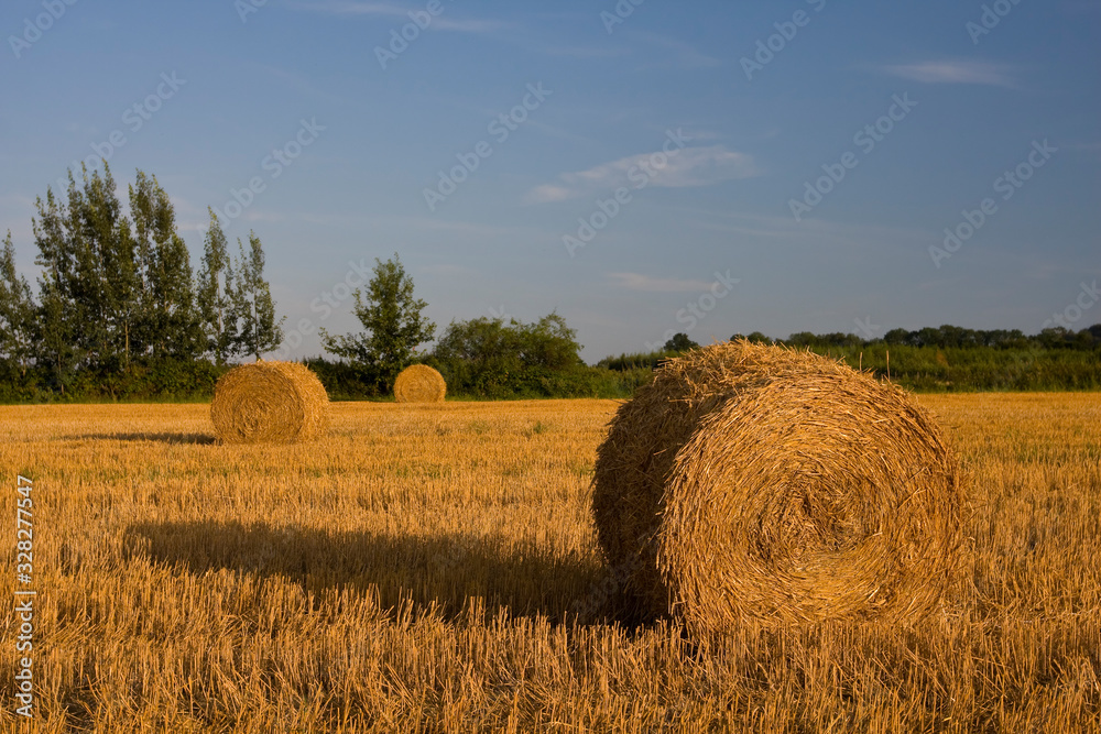 Straw rolls on field in Poland