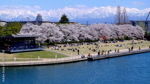 富岩運河環水公園と満開の桜並木