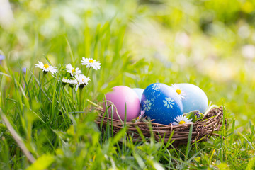 Happy Easter  -  Nest with easter eggs in grass on a sunny spring day - Easter decoration background