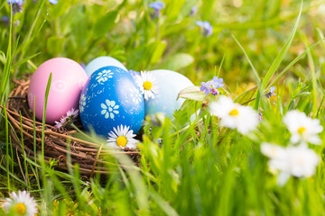 Happy Easter  -  Nest with easter eggs in grass on a sunny spring day - Easter decoration background