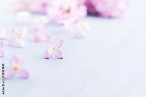 Purple lilac flowers on gray background with copy space