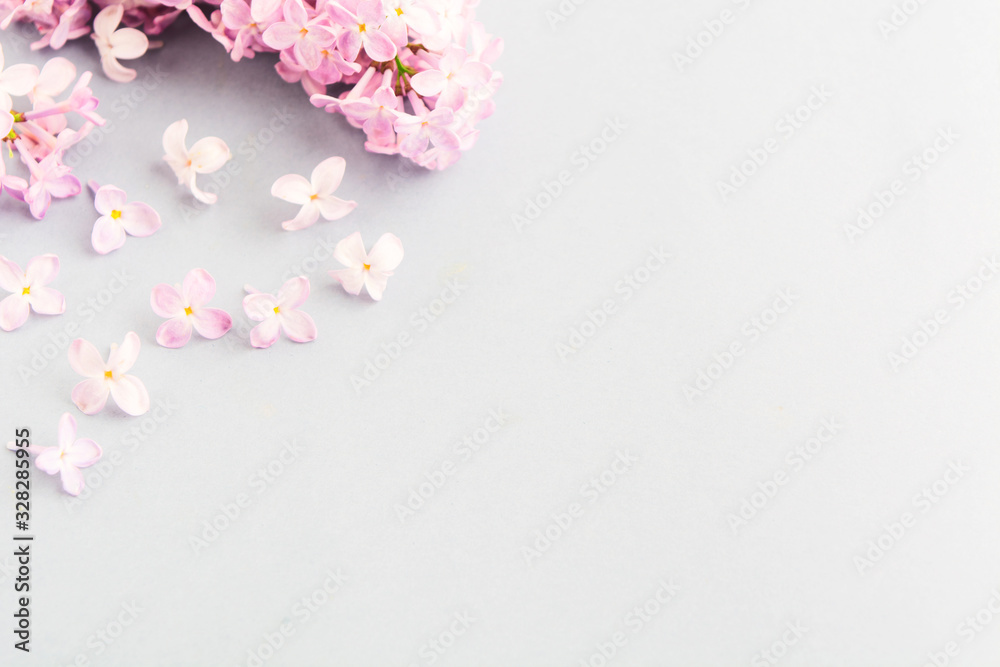 Beautiful spring background with purple lilac flowers. Copy space