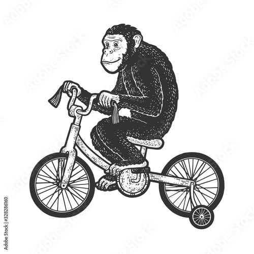circus chimpanzee monkey rides a bicycle sketch engraving vector illustration. T-shirt apparel print design. Scratch board imitation. Black and white hand drawn image.