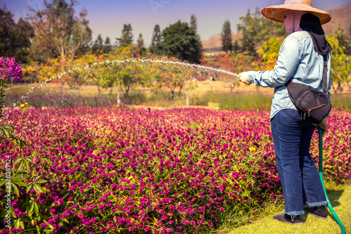 woman gardener watering  flowers garden with hose. Hobby concept photo