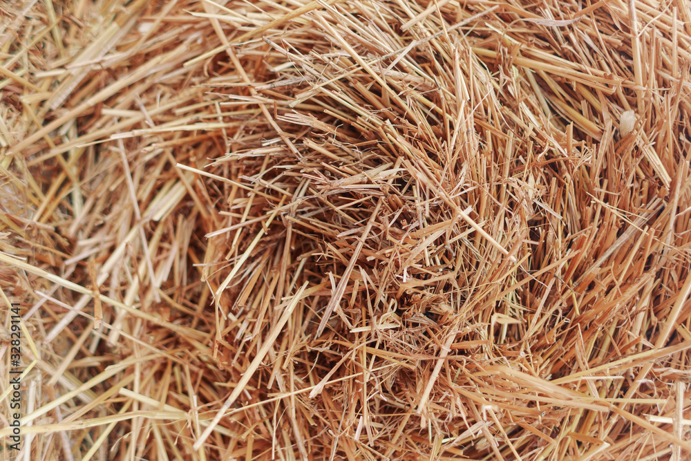 A pile of hay. Hay straw background texture A pile of hay. Hay straw background texture