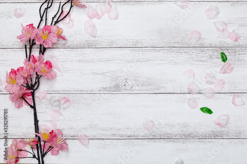 桜の花びらと白板