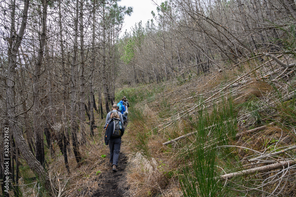 Mount Somma, Naples / Italy - March 2020: Trekking on Mount Somma, visiting the burnt area and the quary. Mount Somma, Naples / Italy - March 2020: Trekking on Mount Somma, visiting the burnt area and the quary.