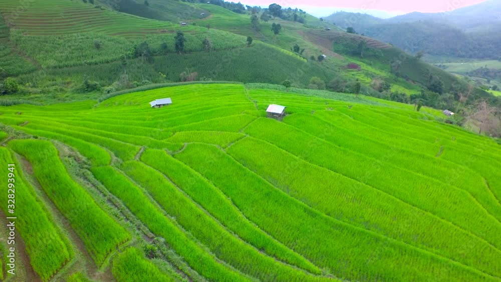 Aerial Shot rice field rice Terrace on mountain. Aerial Shot rice field rice Terrace on mountain.