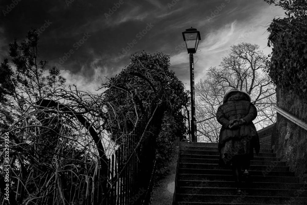 Fototapeta premium Lady on Steps