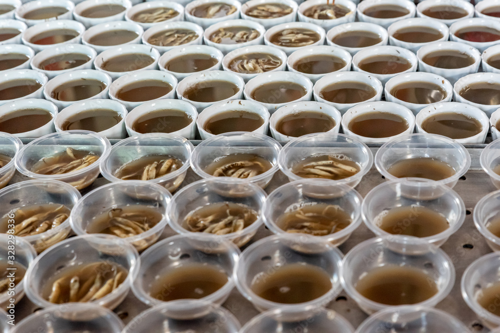 Making process of handmade food for sand worms Making process of handmade food for sand worms