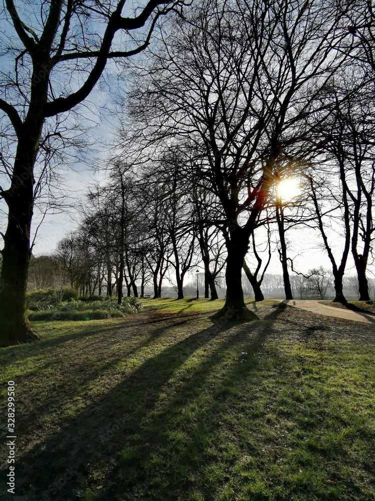 Sun shining in the park