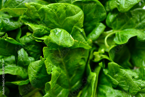 Spinach. Vitamins Raw food diet. Vegetarianism and veganism, healthy food, ingredient. Spinach background, close-up.