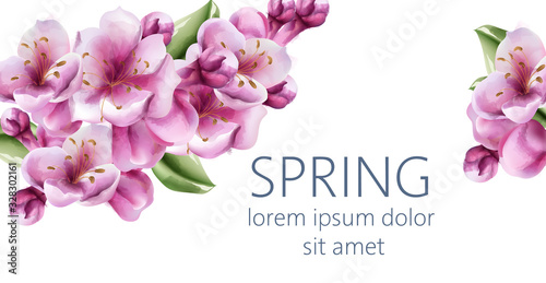 Hello spring cherry blossom flowers greeting card with place for text