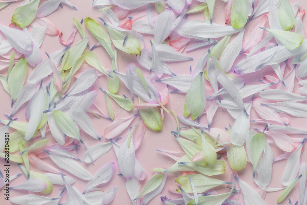 Fototapeta premium floral spring background of petals, decor for design, eco style