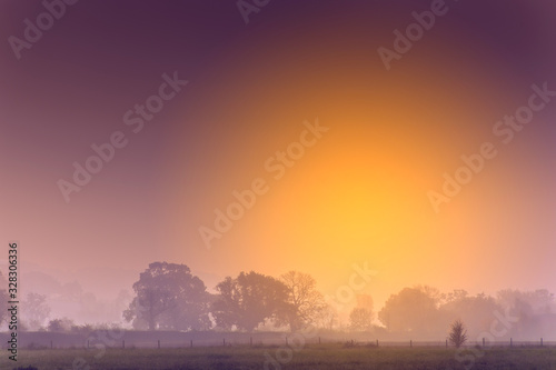 A meadow on the edge of a forest at dawn in summertime in the Cotswolds, England.