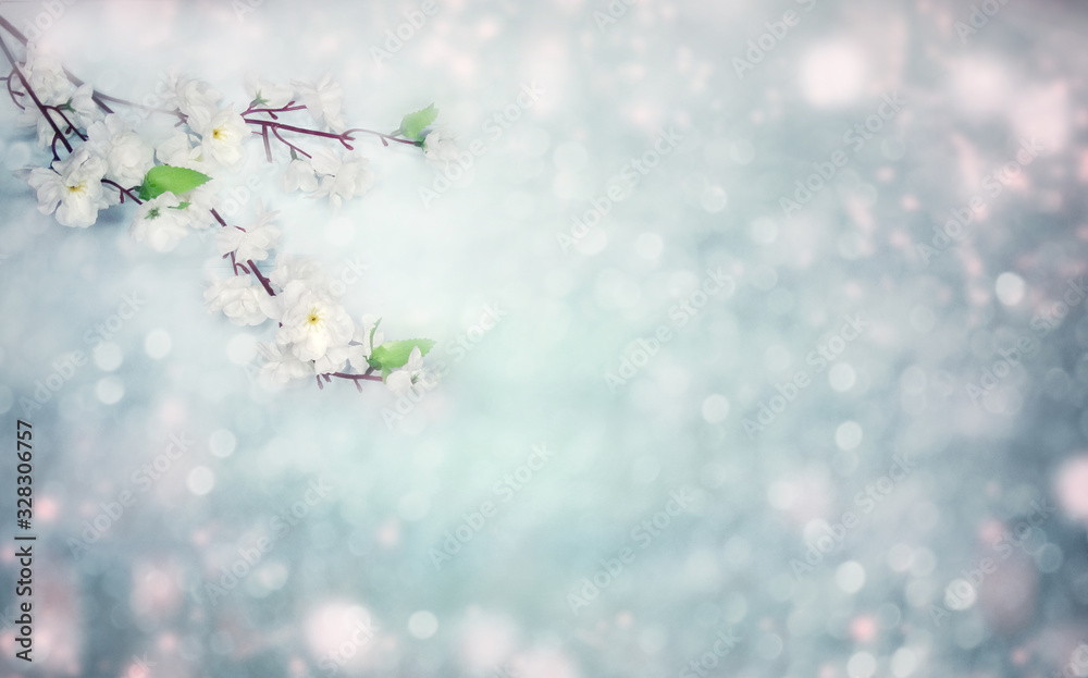 spring background of flowering white cherry flowers tree and leaves