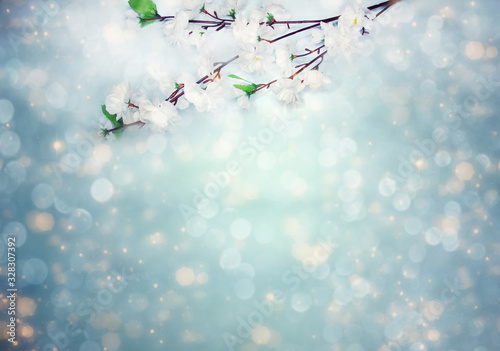 spring background flowering white cherry flowers tree and abstract bokeh