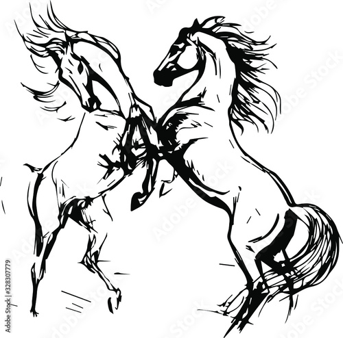  Hand drawn horse. Vector isolated on a transparent background