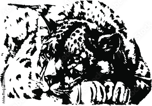  Hand drawn jaguar. Vector isolated on a transparent background