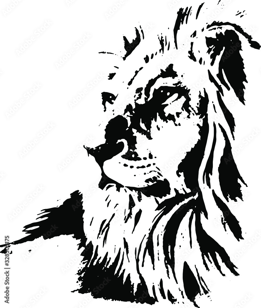 Obraz Hand drawn lion. Vector isolated on a transparent background