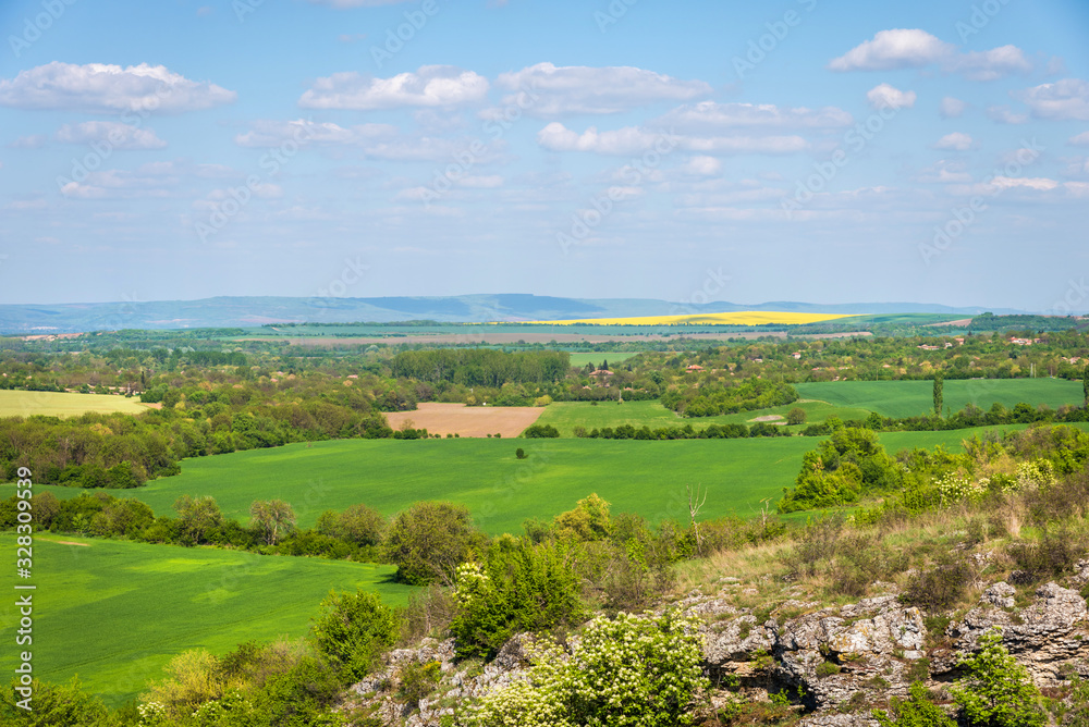 Green fields landscape. Spring landscape. Bulgarian countryside