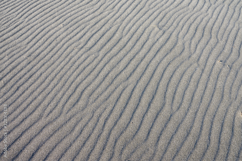 Obraz premium 砂浜の風紋