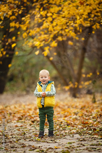 Little boy plays in autumn park. Cute autumn story. Toddler boy weared in yellow and green casual stylish clothes. Happy child in beautiful fall autumn day. Autumn walk under yellow trees. Family day © Olga Mishyna