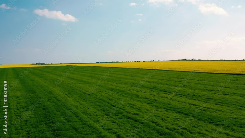 Yellow field rape, young green wheat and blue sky. Aerial view. Yellow field rape, young green wheat and blue sky. Aerial view.