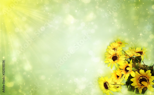 spring summer background flowering sunflowers abstract bokeh © Anastasia Tsarskaya