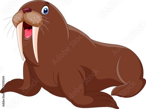 Cute cartoon walrus happy a smile