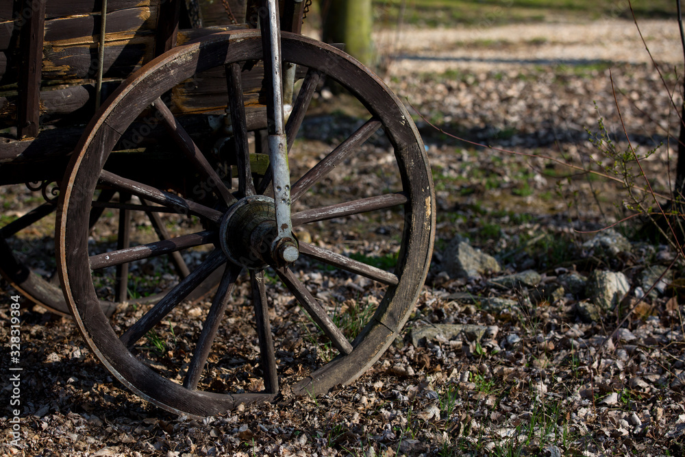 wooden wheel of an old cart