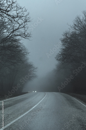 road in a thick fog. black- and-white image of trees, roads in fog