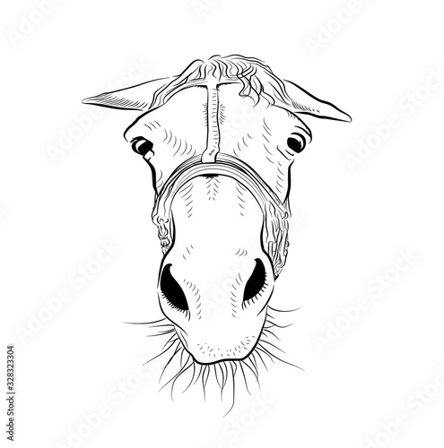 The horse head. Sketch art. Sad emotion.