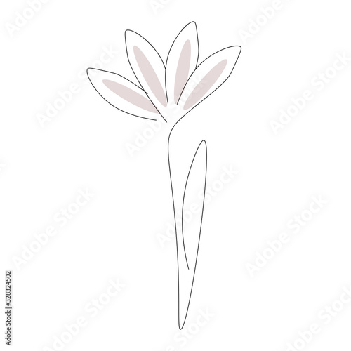 Flower line drawing vector illustration 