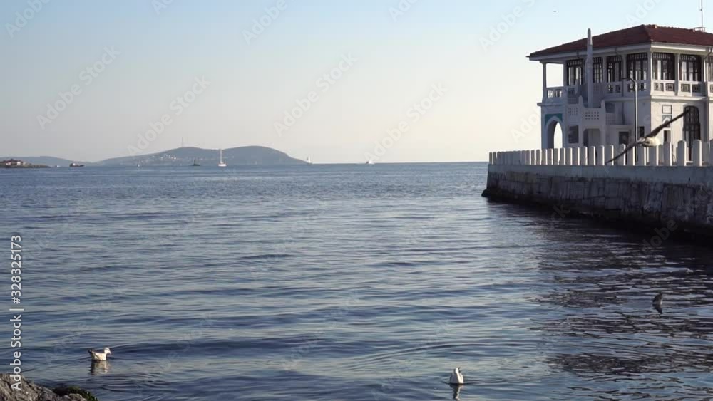 The historical moda pier and seagulls in slow motion. Princes Islands are visible at the background.