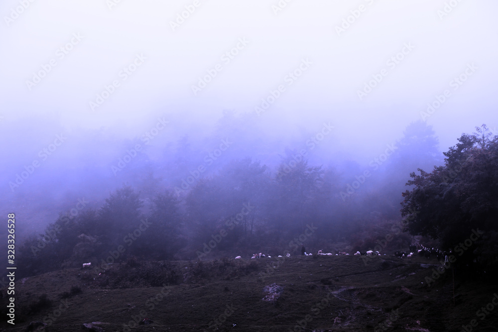 A beautiful image of the slope of the mountain A beautiful image of the slope of the mountain