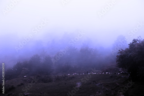 A beautiful image of the slope of the mountain