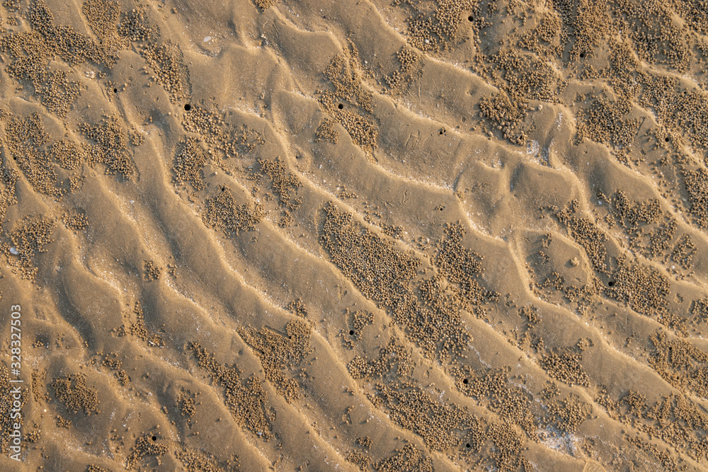 Fototapeta premium Closeup of sand pattern of a beach in the summer.