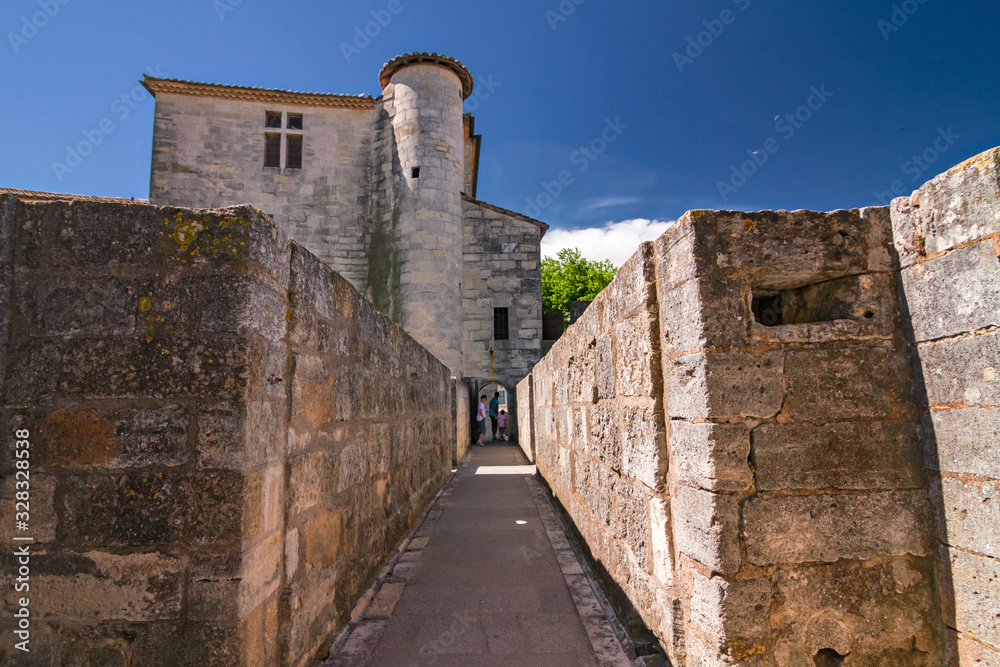 Obraz premium Exterior view of the ramparts of the walls of the fortified city of Aigues Mortes, in the Camargue France.