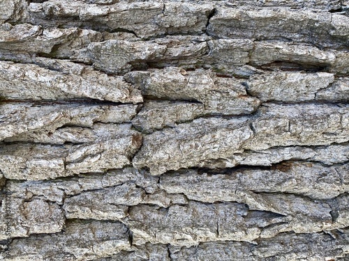 Close-up of a bright abstract wood surface.